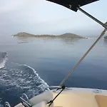 Dario *
