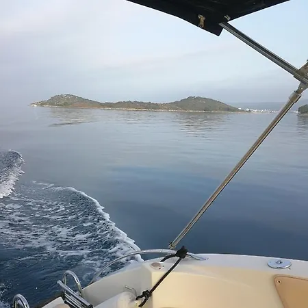 Dario *