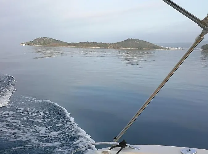 Dario *